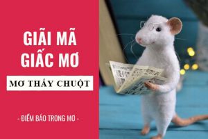 nằm mơ thấy chuột