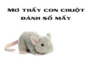 nằm mơ thấy chuột danh so may