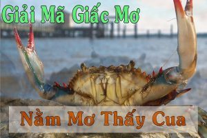 Giari mã mơ thấy cua