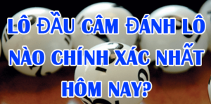 Bí kíp chơi lô câm