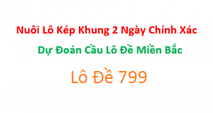 lô kép khung 2 ngày 247